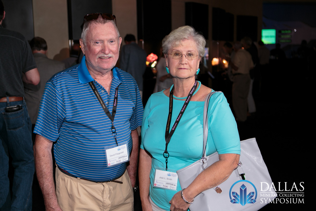 Saturday Event-0013-2014-DMCS Learn about fine minerals with the Dallas Mineral Collecting Symposium,